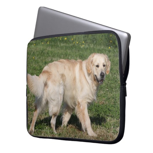 Golden retriever-Gehen Laptopschutzhülle (Vorderseite Links)