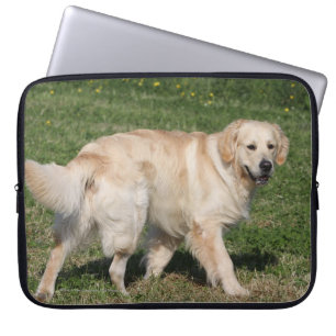 Golden retriever-Gehen Laptopschutzhülle