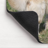 Golden retriever-Gehen Mousepad (Ecke)