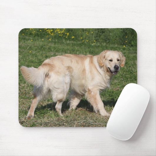 Golden retriever-Gehen Mousepad (Mit Mouse)