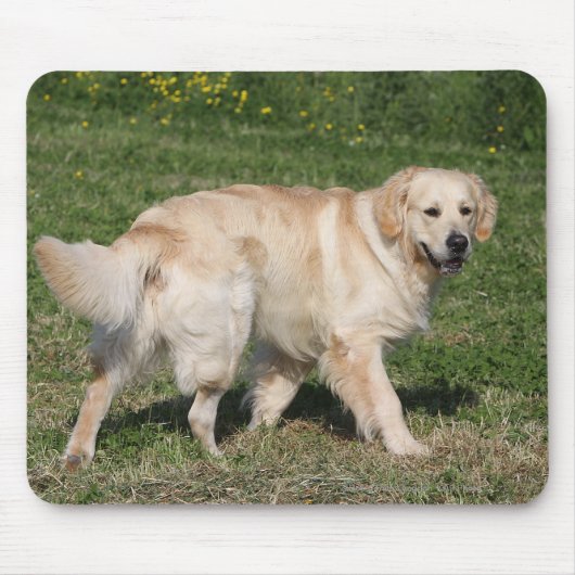 Golden retriever-Gehen Mousepad (Vorne)