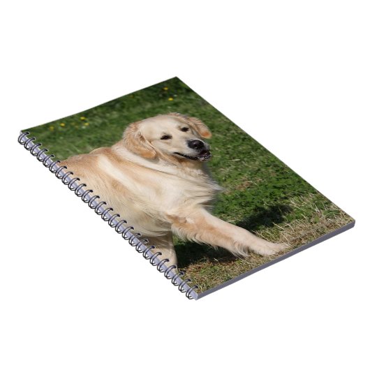 Golden retriever-Gehen Notizblock (Rechte Seite)