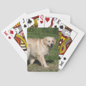 Golden retriever-Gehen Spielkarten (Rückseite)