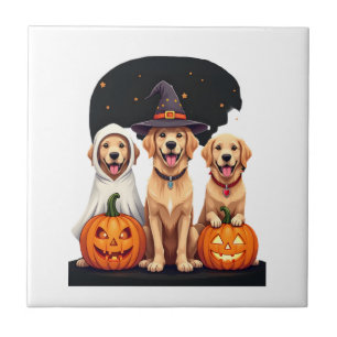 Golden Retriever Geist Halloween Süßigkeiten Oder Fliese