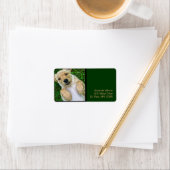 Golden Retriever Gelbe Labrador Welppy Address Lab Adressaufkleber (Insitu)