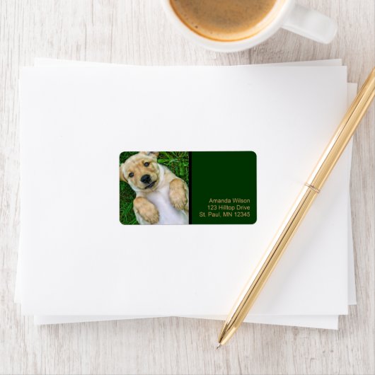 Golden Retriever Gelbe Labrador Welppy Address Lab Adressaufkleber (Insitu)