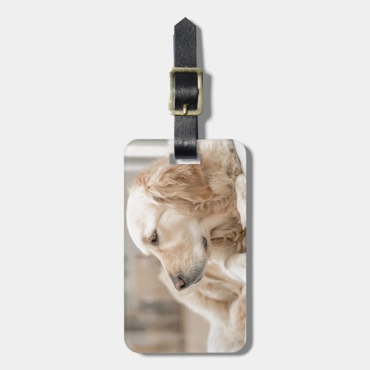 Golden Retriever Gepäckanhänger (Vorderseite vertikal)