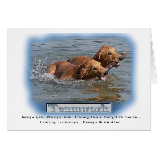 Golden Retriever Geschenke (Vorderseite (Horizontal))