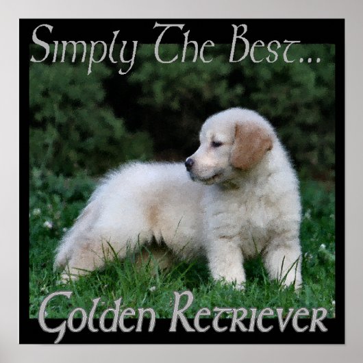 Golden Retriever Geschenke Kunst Poster (Vorne)