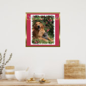Golden Retriever Geschenke Kunstdrucke Poster (Küche)