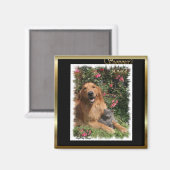 Golden Retriever Geschenke Magnet (Vorderseite/Rückseite)