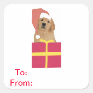 Golden Retriever Geschenketiketten auf und von Auf Quadratischer Aufkleber