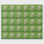 Golden Retriever Geschenkpapier (Flach)