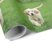 Golden Retriever Geschenkpapier (Rolleneckpunkt)