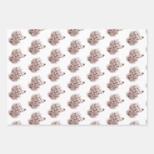 Golden Retriever Geschenkpapier Set (Vorderseite)