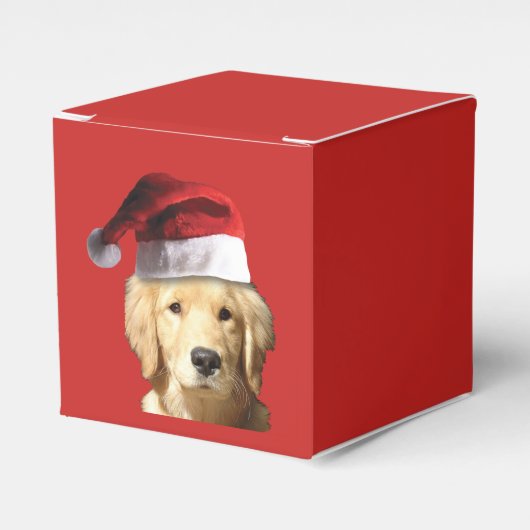 Golden Retriever Geschenkschachtel (Vorderseite)