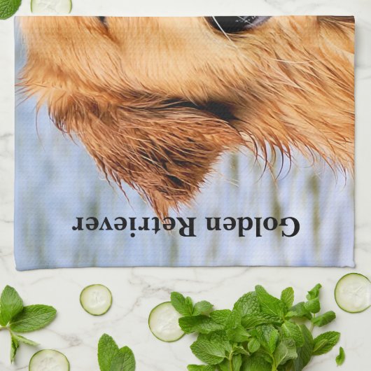 Golden retriever geschirrtuch (Gefaltet)