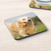 Golden Retriever Getränkeuntersetzer (Linke Seite)