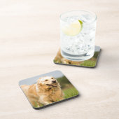 Golden Retriever Getränkeuntersetzer (Rechte Seite)