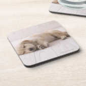 Golden retriever getränkeuntersetzer (Linke Seite)