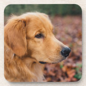 Golden Retriever Getränkeuntersetzer (Vorderseite)
