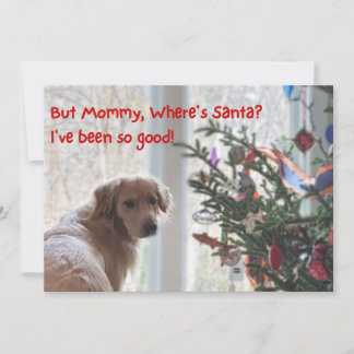 Golden Retriever Gewartet Weihnachten