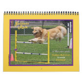 Golden Retriever "Goldens Rule" 12-monatiger Kalen Kalender (Titelbild)