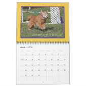 Golden Retriever "Goldens Rule" 12-monatiger Kalen Kalender (Mär 2026)