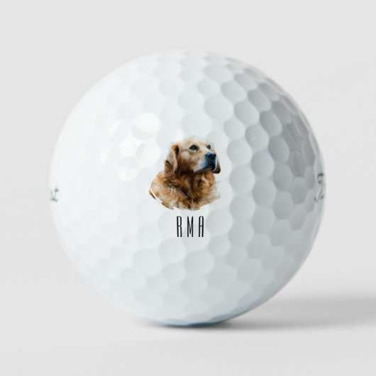 Golden Retriever Golfball (Vorderseite)