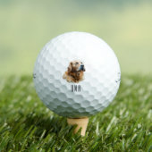 Golden Retriever Golfball (Insitu T-Shirt)