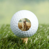 Golden Retriever Golfball (Insitu T-Shirt)