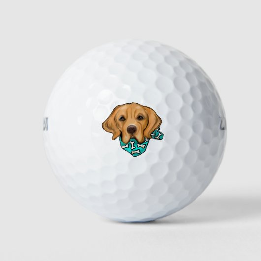 Golden Retriever Golfball (Vorderseite)