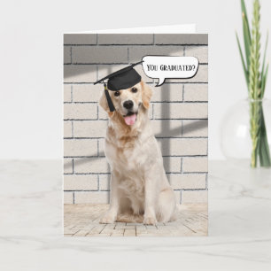 Golden Retriever Graduate on Brick Karte