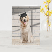 Golden Retriever Graduate on Brick Karte (Gelbe Blume)