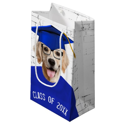 Golden Retriever Graduate with Blue Cap Kleine Geschenktüte (Vorderseite Schrägansicht)