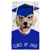 Golden Retriever Graduate with Blue Cap Kleine Geschenktüte (Vorderseite)