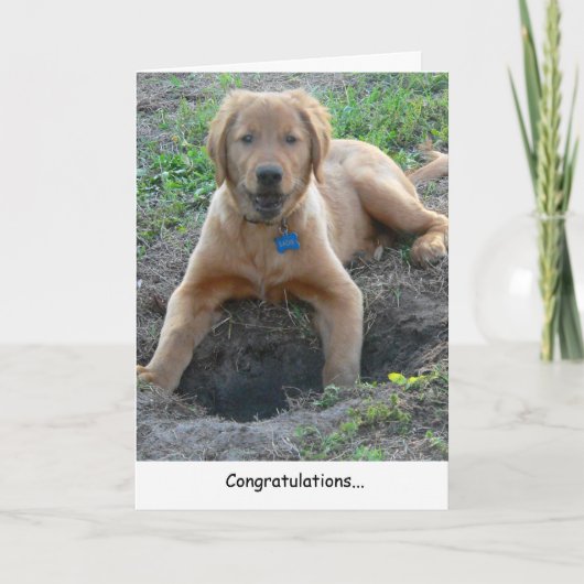 Golden Retriever Gratulations Card Karte (Vorderseite)