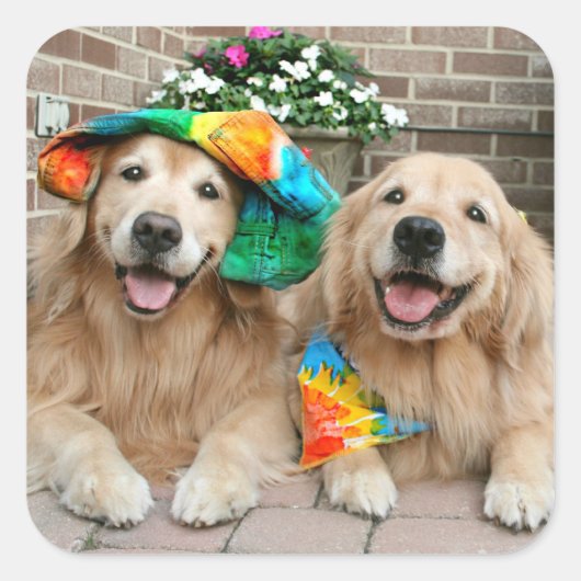 Golden Retriever Groovy Stickers (Vorderseite)