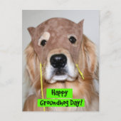 Golden Retriever Groundhove Day Postkarte (Vorderseite)