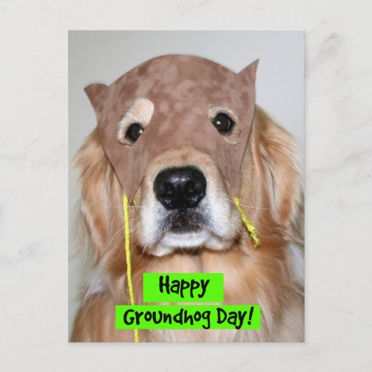 Golden Retriever Groundhove Day Postkarte (Vorderseite)