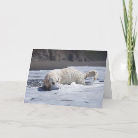 Golden Retriever Grußkarte Karte (Vorderseite)