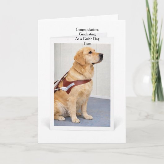 Golden Retriever Guide Dog Graduation Karte (Vorderseite)