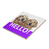 Golden retriever hallo fliese (Seite)