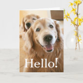 Golden Retriever Hallo Karte (Gelbe Blume)