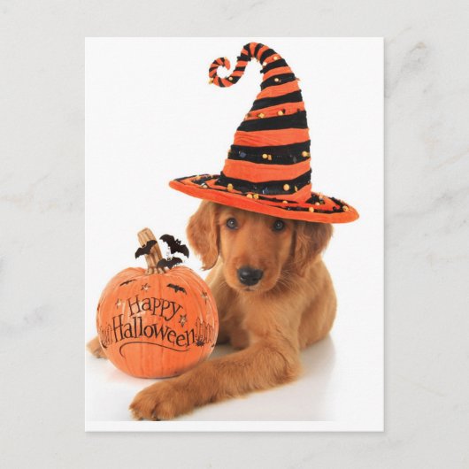 Golden Retriever Halloween Design Postkarte (Vorderseite)