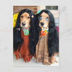 Golden Retriever Halloween Feiertagspostkarte