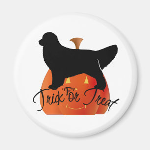 Golden Retriever Halloween Geschenke Magnet