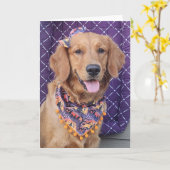 Golden Retriever Halloween greeting card Karte (Gelbe Blume)