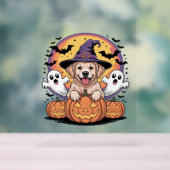 Golden Retriever Halloween Hexenhund Classic T-Shi Acrylschild (Neutral)