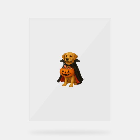 Golden Retriever Halloween Hund mit Kürbiskandy Acrylschild (Vorderseite)